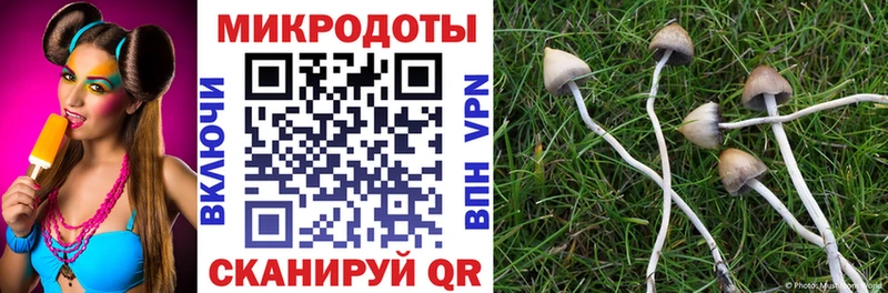 Псилоцибиновые грибы Psilocybe blacksprut вход Туапсе закладка